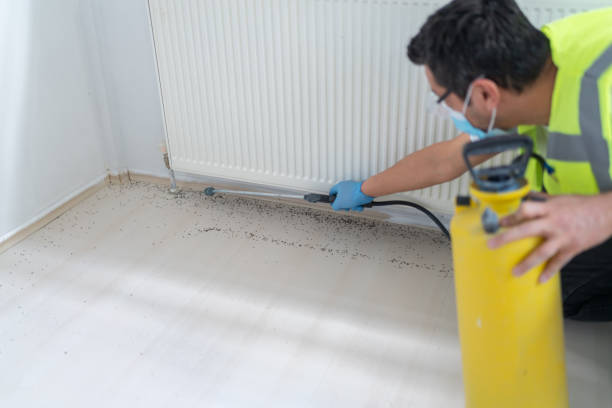 Best Pest Inspection Near Me  in Yorba Linda, CA
