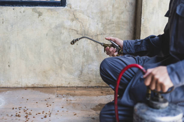 Best Commercial Pest Control Services  in Yorba Linda, CA